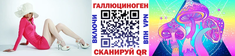Купить где  Краснослободск  Галлюциногенные грибы Psilocybe 